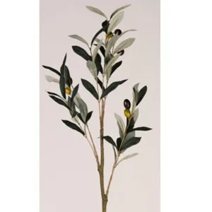 Olive Spray with Fruit