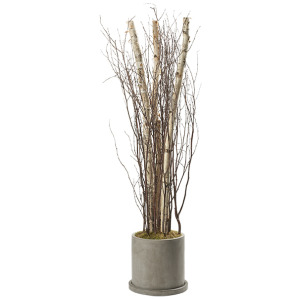 Birch Poles and Tops in Marta Planter 7′