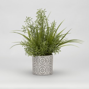 Wild Asparagus & Grass in Round Cement Planter