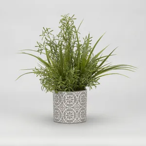 Wild Asparagus & Grass in Round Cement Planter