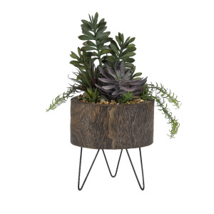 Jade Plant, Frosted Echeveria & Succulents in Round Wooden Planter