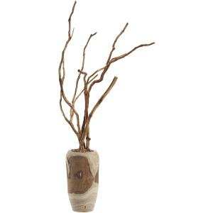 Tiger Wood in Yucca Planter