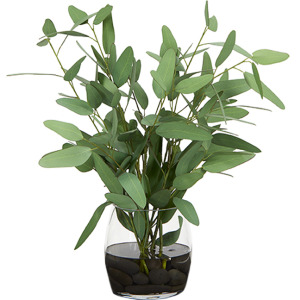 Blue Eucalyptus in Tumbler Vase