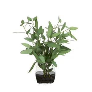 Blue Eucalyptus in Tumbler Vase