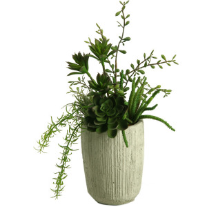 Mini Dracaena Heads, Succulents, Springeri & Easter Grass in Cement Cylinder