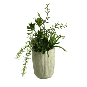 Mini Dracaena Heads, Succulents, Springeri &amp; Easter Grass in Cement Cylinder