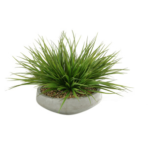 Wild Grass in Contemporary Bowl