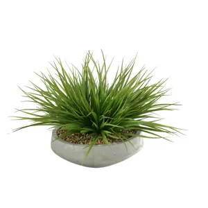 Wild Grass in Contemporary Bowl
