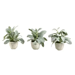 Frosted Lamb&rsquo;s Ear in Ceramic Pot - Set of 3