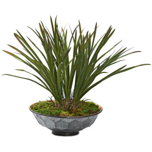 Green Areca Grass in Small Vida Planter