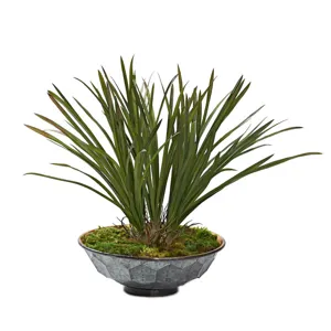 Green Areca Grass in Small Vida Planter