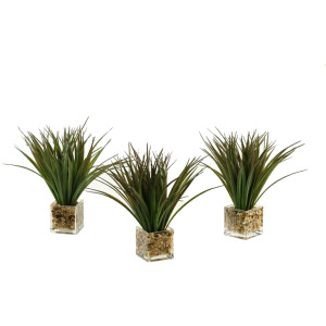 Wild Grass in Glass - Set of 3