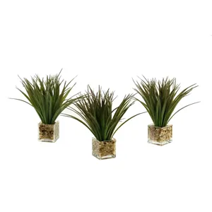 Wild Grass in Glass - Set of 3