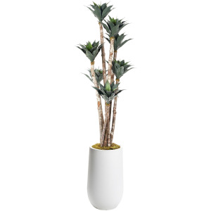Agave Poles in White Clay Planter