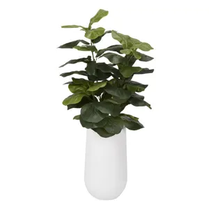 Fiddle Leaf Fig in Small Quinn Planter