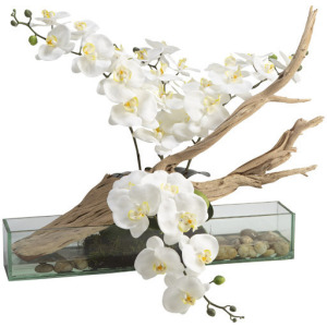 White Phael Orchids with Ghostwood in Medium Aquaria Vase