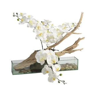 White Phael Orchids with Ghostwood in Medium Aquaria Vase