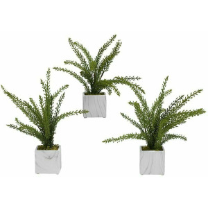Heather Fern in White Marbled Ceramic Cube &ndash; Set of 3