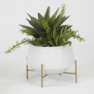 Aloe & Succulents in White Glass Bowl w/Stand