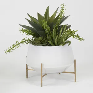 Aloe & Succulents in White Glass Bowl w/Stand