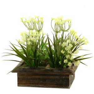 Queen Anne's Lace and Grass in Square Wood Planter Box