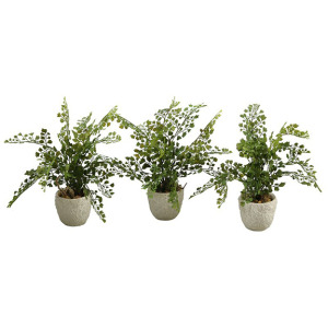 Maiden Hair Fern in Coral Reef Vase &ndash; Set of 3