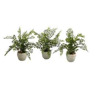 Maiden Hair Fern in Coral Reef Vase &ndash; Set of 3
