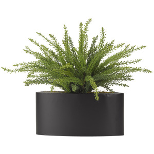 Heather Fern in Oval Metal Planter
