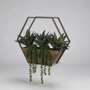 Aloe Plants & String of Pearls in Wood/Metal Wall Sconce