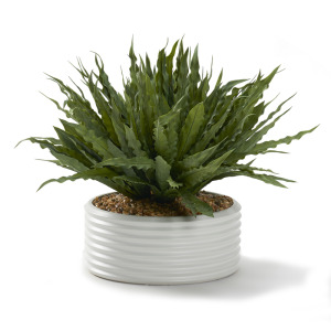 Frosted Green Birdnest in White Ribbed Bowl
