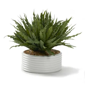 Frosted Green Birdnest in White Ribbed Bowl