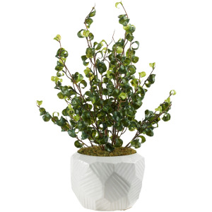 Benjamin Ficus in Large White Geometric Planter