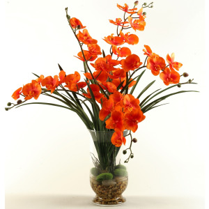 Orange Phael Orchids in Glass Vase