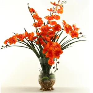 Orange Phael Orchids in Glass Vase