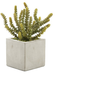 Soft Touch Donkey Tail in Grey Newport Cube