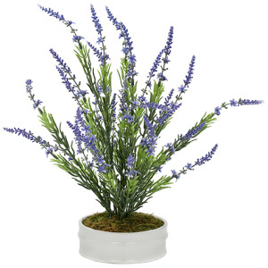 Lavender Bush in Dollop Planter