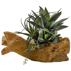 Agave Plant, Tillandsia & Wild Succulent in Drift Planter