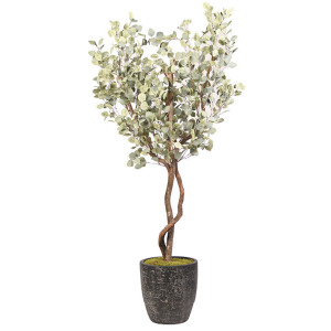 7&prime; Eucalyptus Tree in Round Black Textured Planter