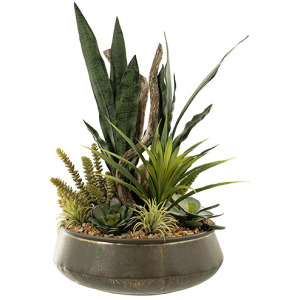 Sansevieria & Assorted Succulents in Virtu Planter