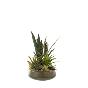 Sansevieria &amp; Assorted Succulents in Virtu Planter