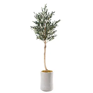 7' OLIVE TREE LG WHT PLNTR X