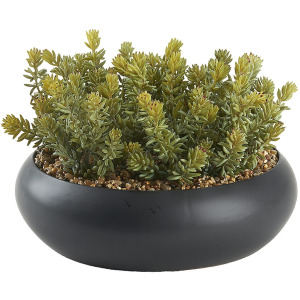 Flocked Succulents in Black Simply Low Bowl