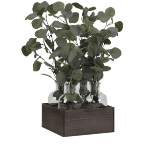 Silver Dollar Eucalyptus in Glass Bottles in Wooden Crate