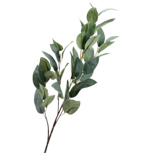 Gray/Green Eucalyptus Branch