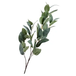 GRY/GREEN EUCALYPTUS BRANCH X