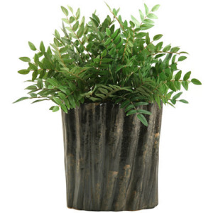 Green Locust Spray in Large Ripple Planter