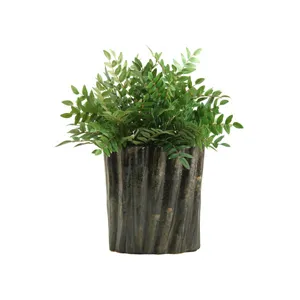 Green Locust Spray in Large Ripple Planter