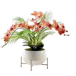 Red & Cream Phael Orchids in Parson Planter