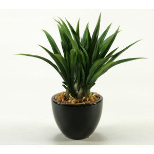 Green Lily Grass in Ceramic Bowl