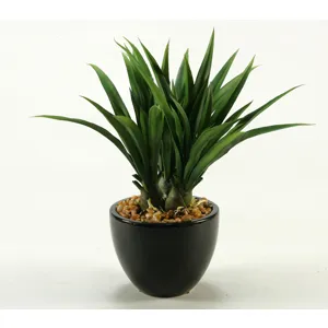 Green Lily Grass in Ceramic Bowl